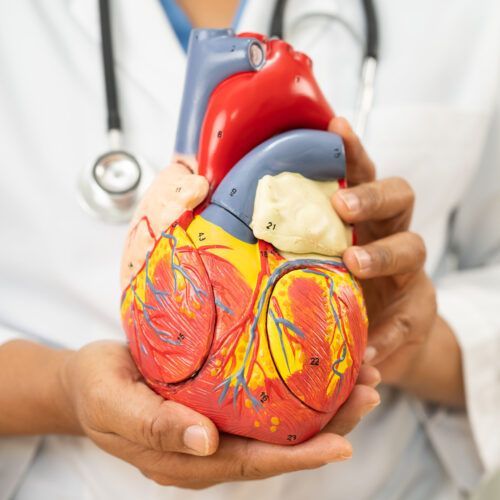 Factores de riesgo cardiovascular