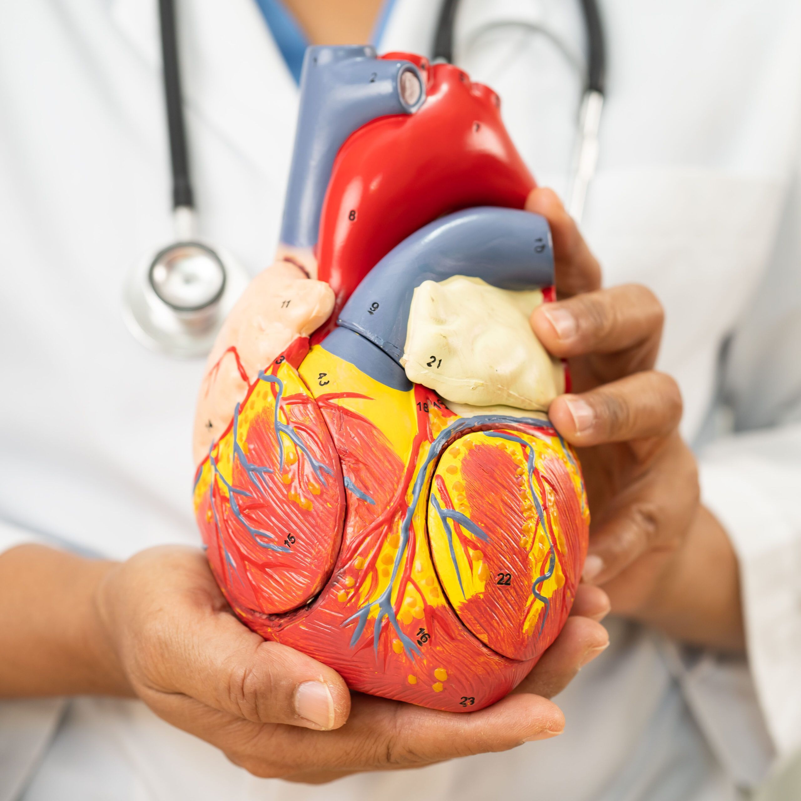 Factores de riesgo cardiovascular